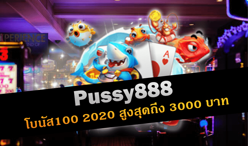 Pussy888