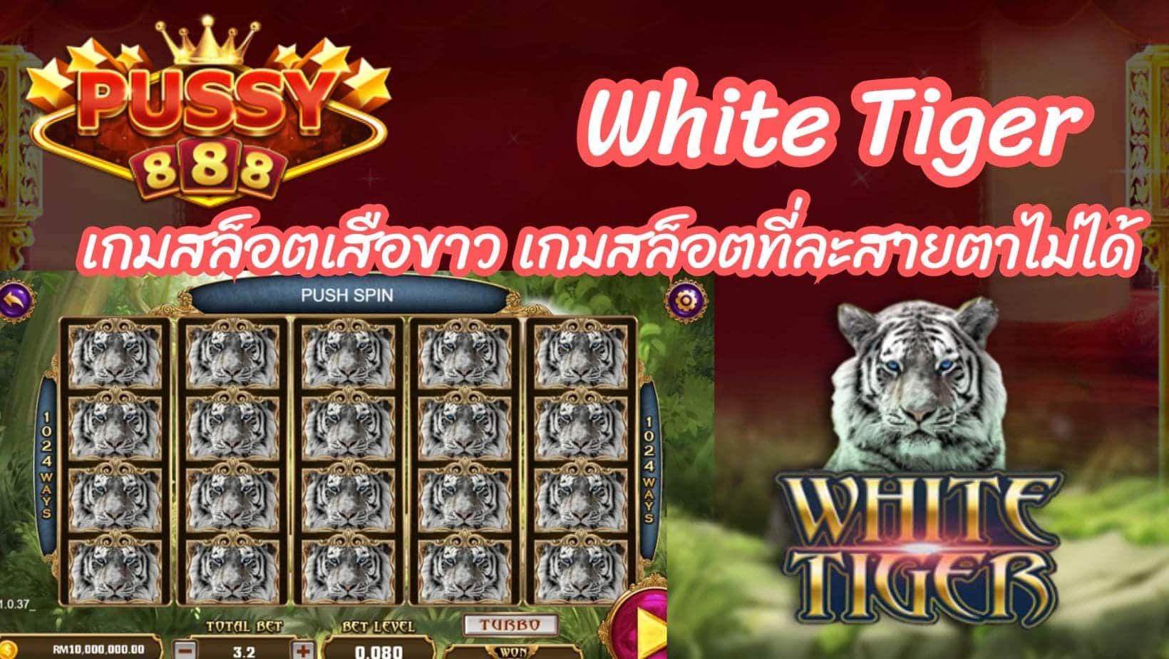 White Tiger